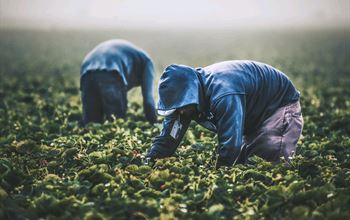 FAMI - Interventi di prevenzione e contrasto al lavoro sommerso e al fenomeno del caporalato